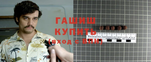 хмурый Арсеньев