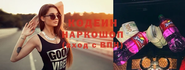 хмурый Арсеньев