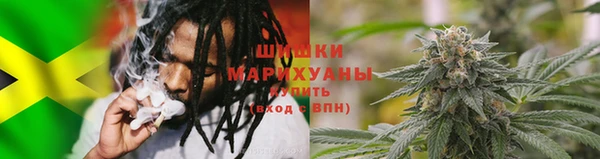 хмурый Арсеньев