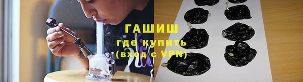 хмурый Арсеньев
