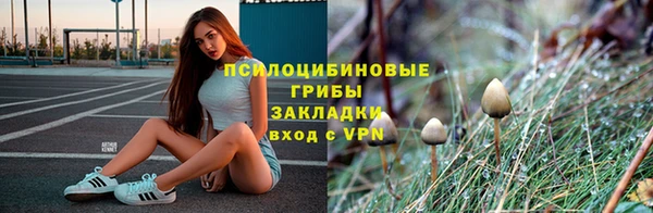 ГАЛЛЮЦИНОГЕННЫЕ ГРИБЫ Вяземский