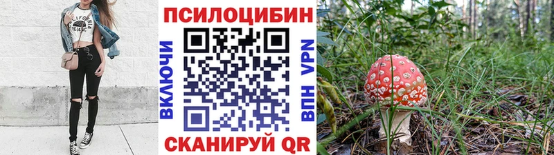 Галлюциногенные грибы GOLDEN TEACHER  как найти закладки  Белогорск 