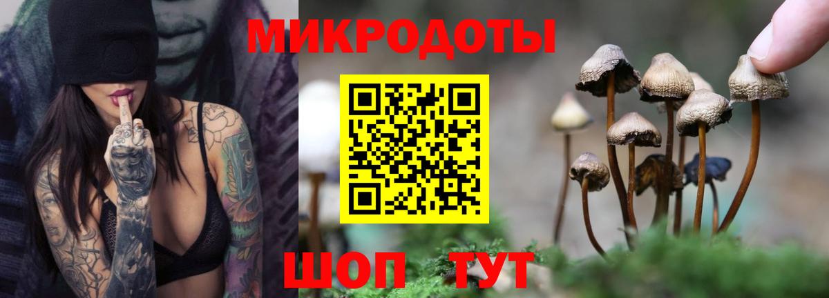 Псилоцибиновые грибы Psilocybe  Вход с VPN  Белогорск 